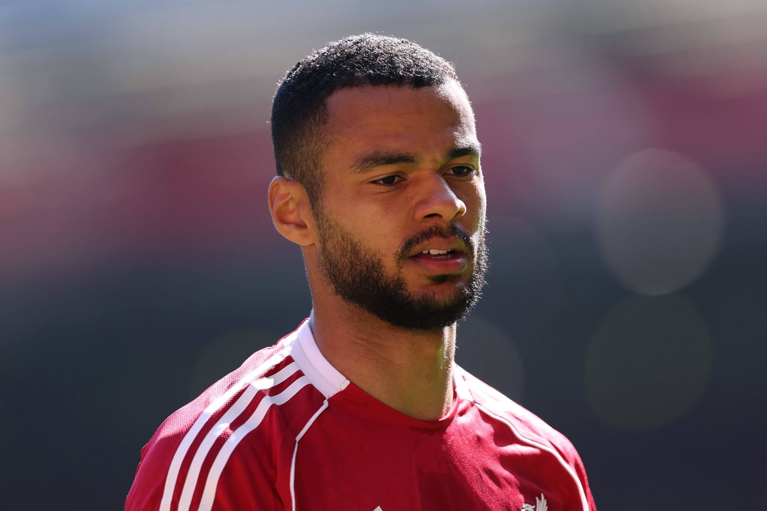 Gakpo playing for Liverpool in April 2025
