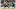 James Lynch chases down Jalen Hurts in 2019. James Lynch chases down Jalen Hurts in 2019.