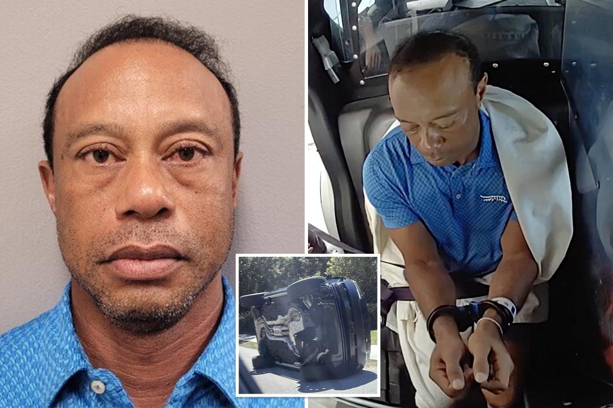 Tiger Woods set to change plea in Florida DUI case