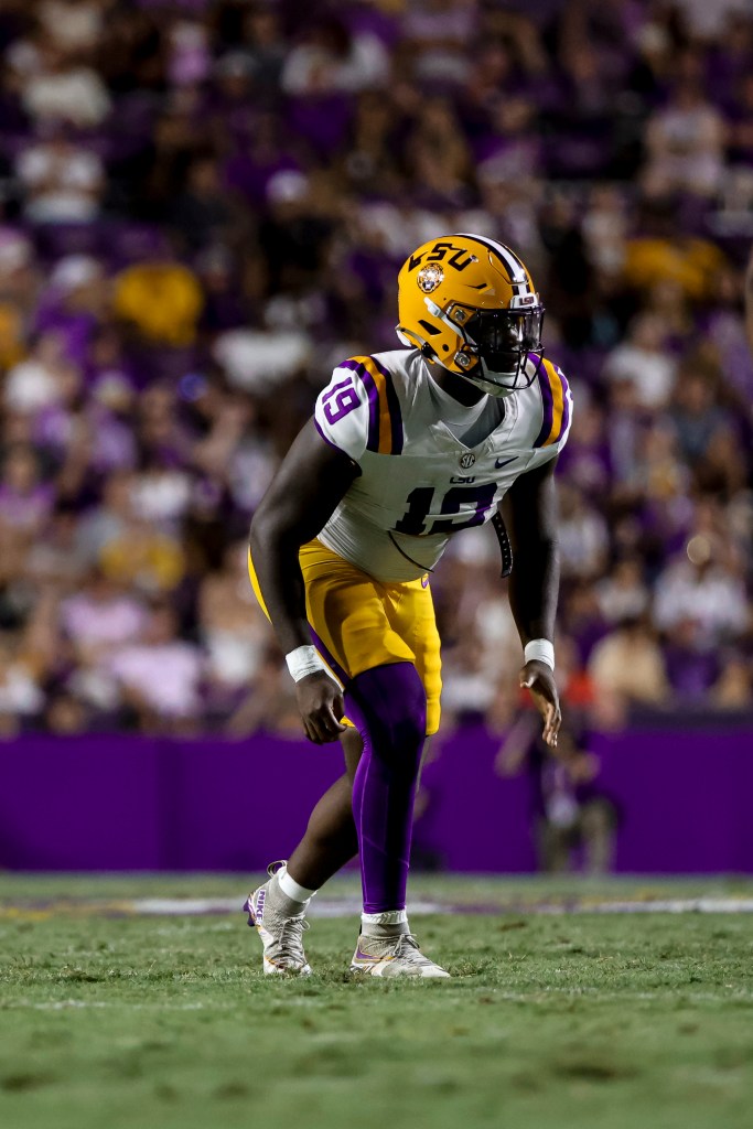 LSU football player #19 in uniform and helmet.