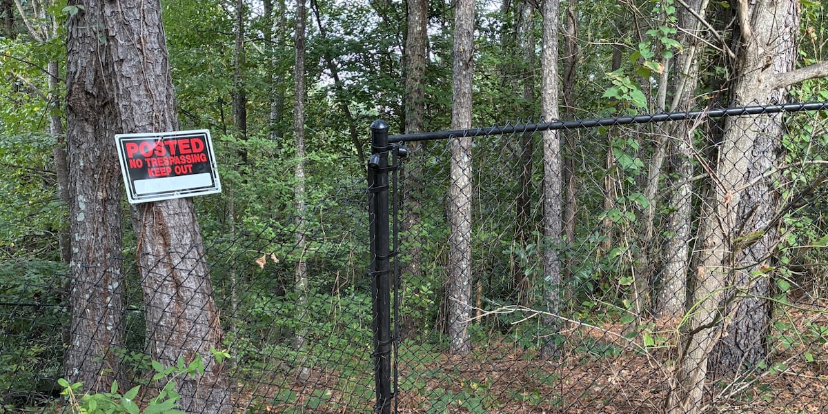 Vacant Peachtree Corners property to be replaced with pitch and putt golf course
