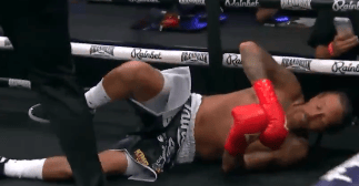 Video: Michael Beasley knocks out Delonte West at Brand Risk 16