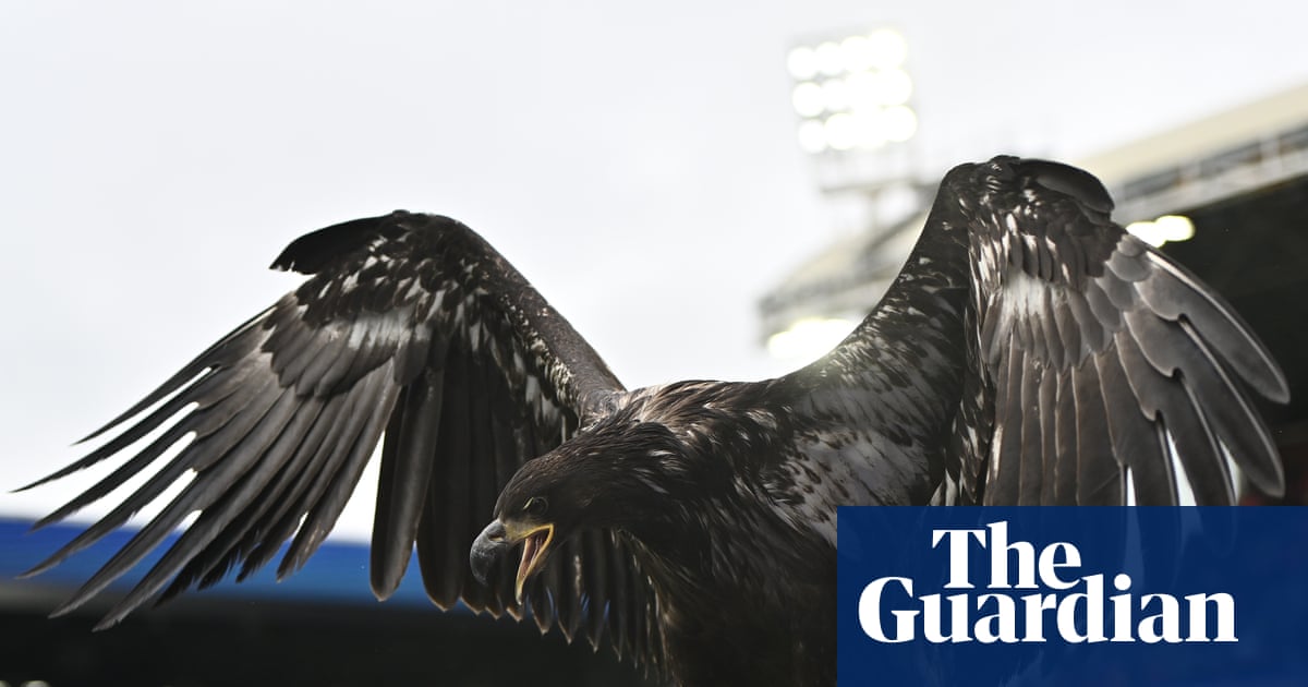 Animal rights group urges Crystal Palace to retire bald eagle mascot | Crystal Palace