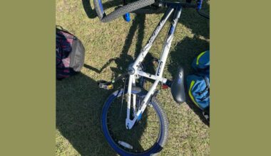 Mom pushes for golf cart safety after son injured in hit-and-run